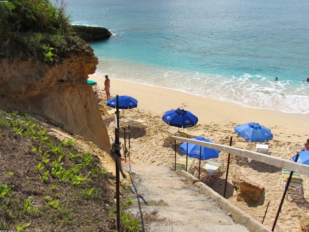 យល់ដឹងអំពីវប្បធម៌កាស៊ីណូទីប្រជុំជន