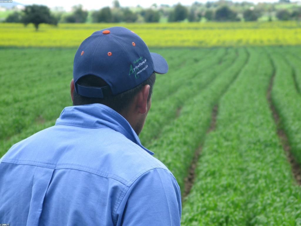 យុទ្ធសាស្ត្រសម្រាប់ការផ្តល់ជូន និងព្រឹត្តិការណ៍ជោគជ័យ